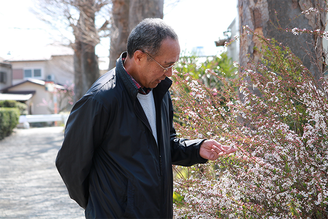 観賞の意味 類義語 言い換え オールガイド