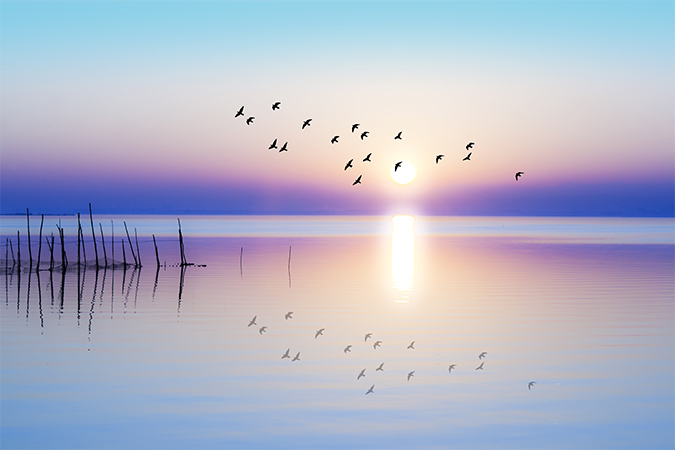 あけぼのの類語 言い換え オールガイド