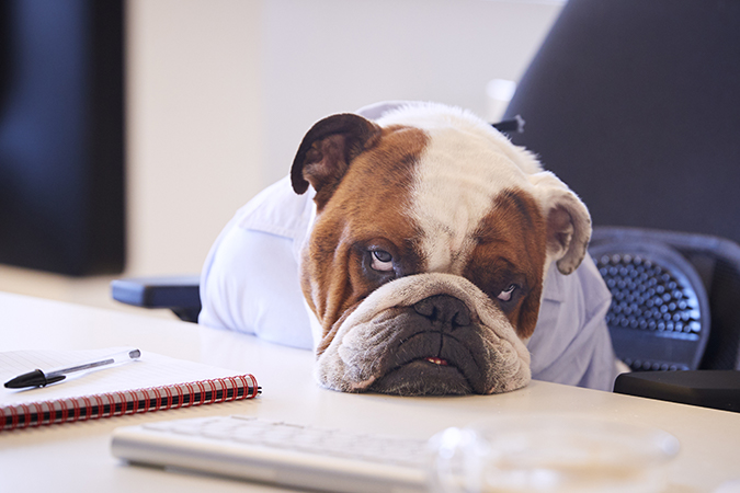 にっちもさっちもの意味 類語 言い換え オールガイド