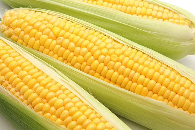 コーンの意味・別名・類語 オールガイド