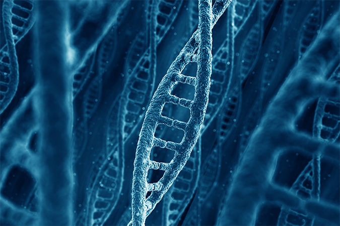 遺伝子 Dna ゲノム の違い オールガイド 遺伝子 Dna ゲノム の違い オールガイド